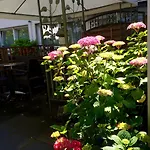 Hotel Hangelar Sankt Augustin