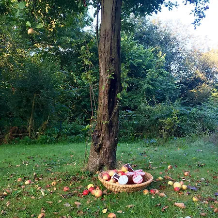 Hotel Hangelar Sankt Augustin