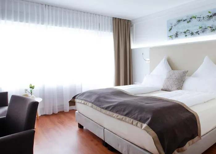 汉格拉酒店 酒店 3*