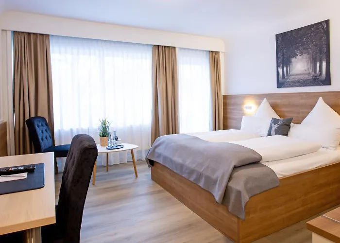 汉格拉酒店 酒店 3*