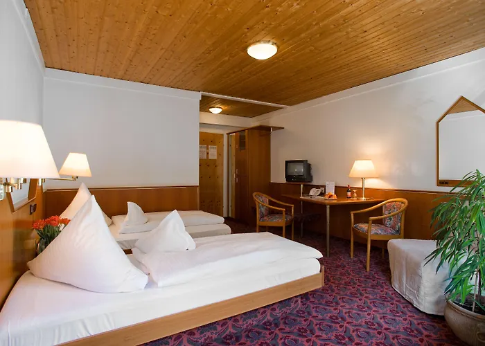 酒店 汉格拉酒店 3*