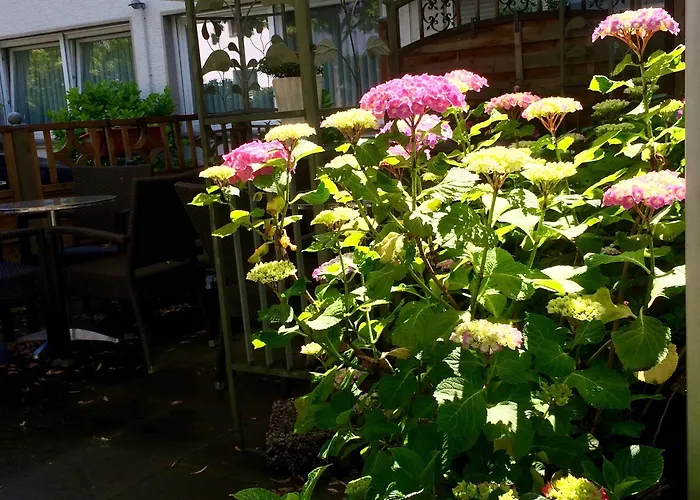 酒店 汉格拉酒店 圣奥古斯丁