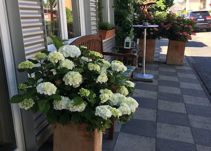 酒店 汉格拉酒店