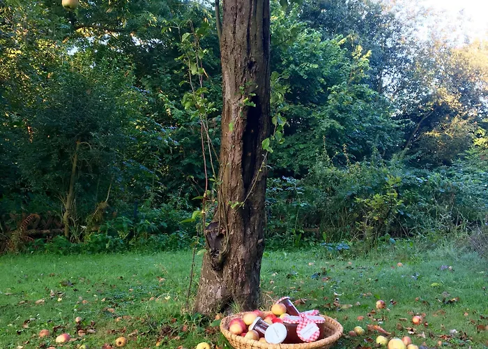 酒店 汉格拉酒店 圣奥古斯丁