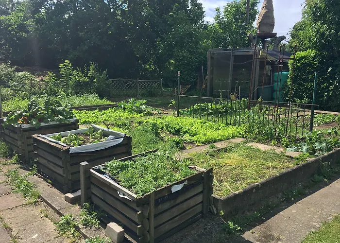 酒店 汉格拉酒店 圣奥古斯丁